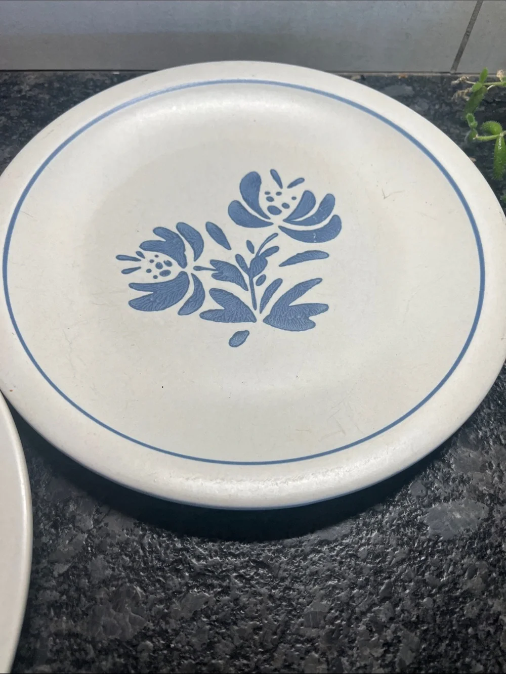10” Pfaltzgraff Yorktowne Blue Floral Ceramic Dinner Plates - Set of 2